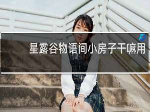 星露谷物语间小房子干嘛用