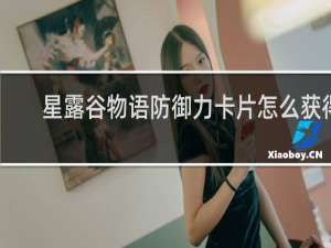 星露谷物语防御力卡片怎么获得