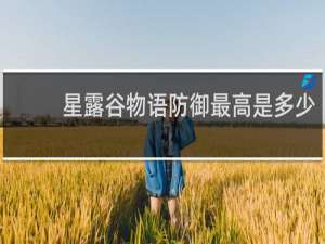 星露谷物语防御最高是多少