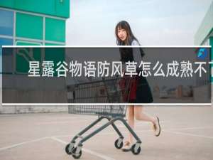 星露谷物语防风草怎么成熟不了