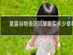 星露谷物语防风草能买多少草莓