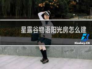 星露谷物语阳光房怎么建