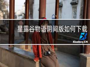 星露谷物语阴间版如何下载