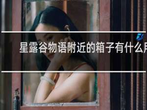 星露谷物语附近的箱子有什么用