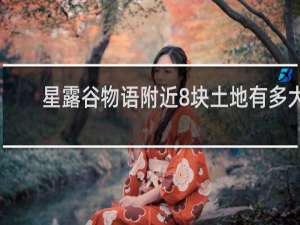 星露谷物语附近8块土地有多大
