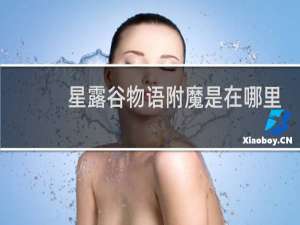 星露谷物语附魔是在哪里