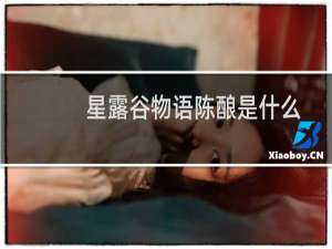 星露谷物语陈酿是什么