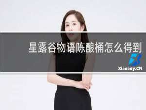 星露谷物语陈酿桶怎么得到