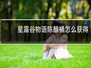星露谷物语陈酿桶怎么获得