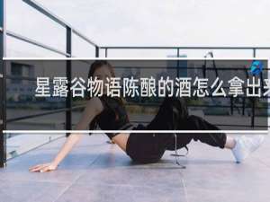 星露谷物语陈酿的酒怎么拿出来