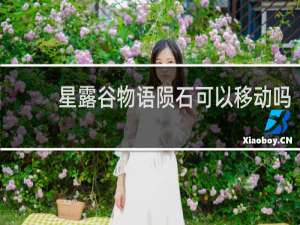 星露谷物语陨石可以移动吗