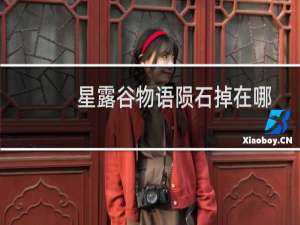 星露谷物语陨石掉在哪