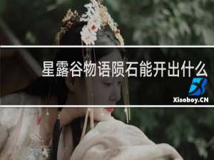 星露谷物语陨石能开出什么