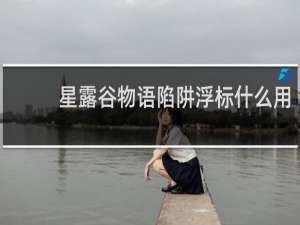 星露谷物语陷阱浮标什么用