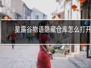 星露谷物语隐藏仓库怎么打开