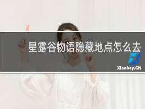 星露谷物语隐藏地点怎么去