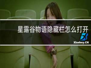 星露谷物语隐藏栏怎么打开