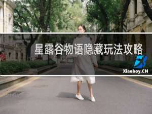 星露谷物语隐藏玩法攻略