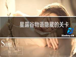 星露谷物语隐藏的关卡