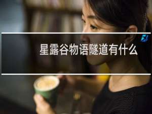 星露谷物语隧道有什么