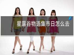 星露谷物语集市日怎么去