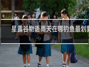 星露谷物语雨天在哪钓鱼最划算