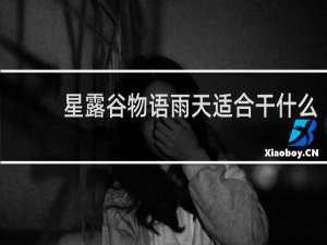 星露谷物语雨天适合干什么