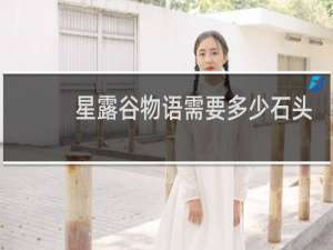 星露谷物语需要多少石头