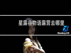 星露谷物语露营去哪里