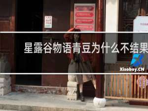 星露谷物语青豆为什么不结果