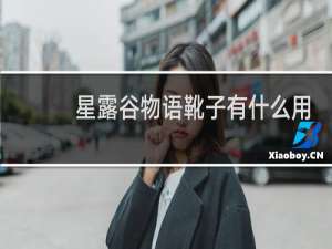 星露谷物语靴子有什么用