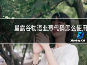 星露谷物语韭葱代码怎么使用