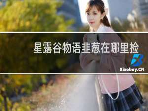 星露谷物语韭葱在哪里捡