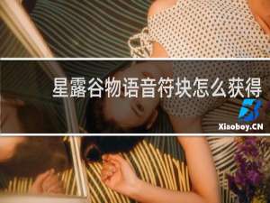 星露谷物语音符块怎么获得