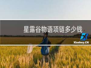 星露谷物语项链多少钱