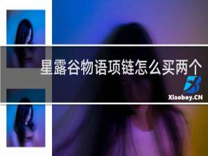 星露谷物语项链怎么买两个