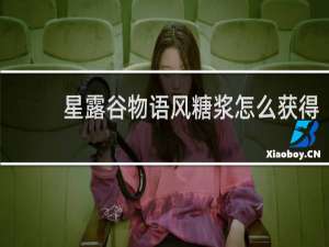 星露谷物语风糖浆怎么获得