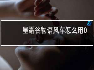 星露谷物语风车怎么用0