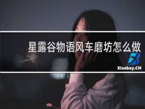 星露谷物语风车磨坊怎么做