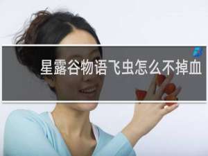 星露谷物语飞虫怎么不掉血