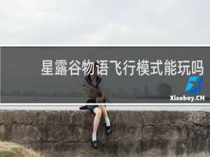 星露谷物语飞行模式能玩吗