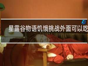 星露谷物语饥饿挑战外面可以吃吗