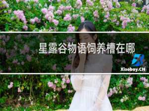 星露谷物语饲养槽在哪