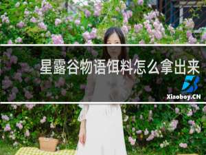 星露谷物语饵料怎么拿出来