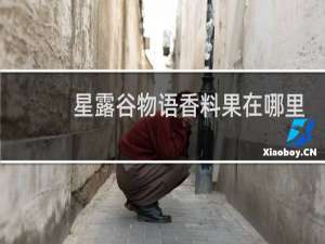 星露谷物语香料果在哪里