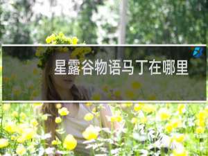 星露谷物语马丁在哪里