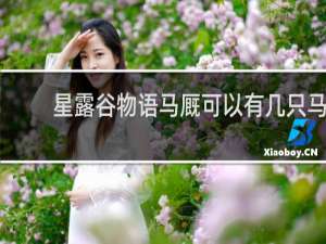星露谷物语马厩可以有几只马