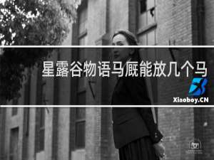 星露谷物语马厩能放几个马