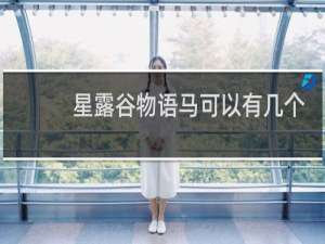 星露谷物语马可以有几个