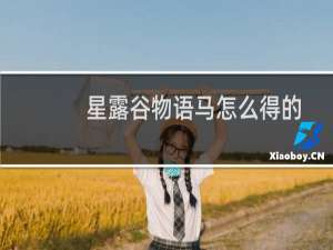 星露谷物语马怎么得的